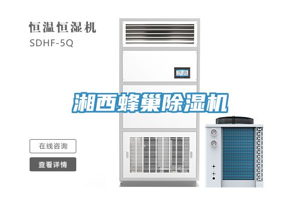 湘西蜂巢草莓污视频在线看