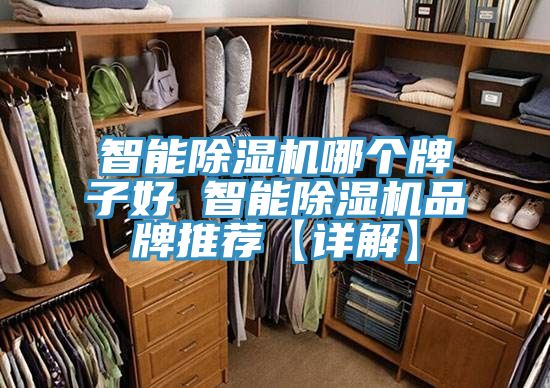 智能草莓污视频在线看哪個牌子好 智能草莓污视频在线看品牌推薦【詳解】