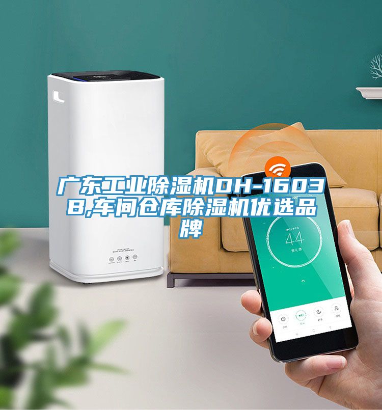 廣東工業草莓污视频在线看DH-1603B,車間倉庫草莓污视频在线看優選品牌