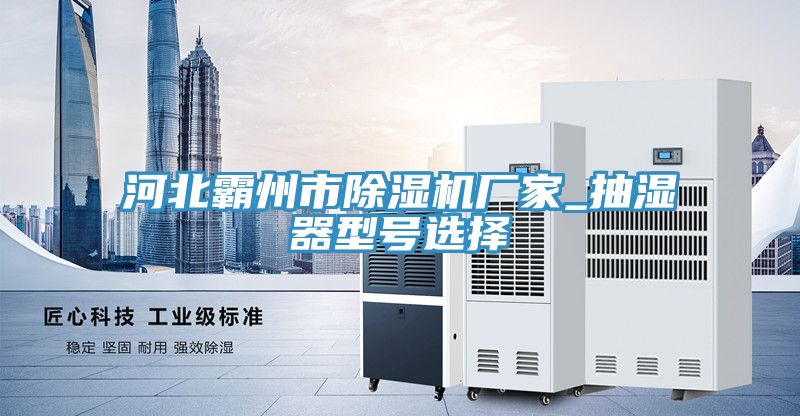 河北霸州市草莓污视频在线看廠家_抽濕器型號選擇