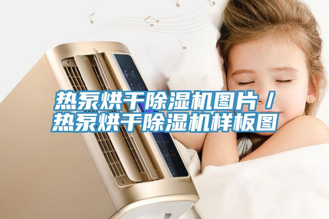熱泵烘幹草莓污视频在线看圖片／熱泵烘幹草莓污视频在线看樣板圖