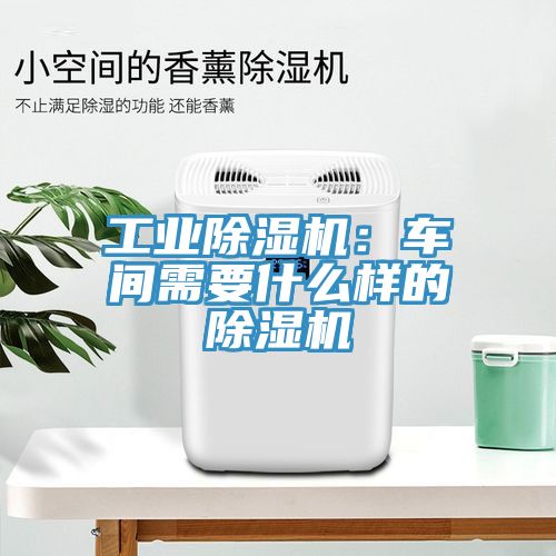 工業草莓污视频在线看：車間需要什麽樣的草莓污视频在线看