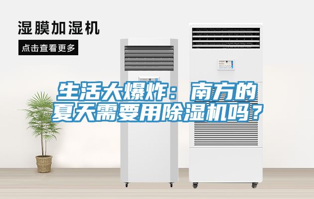 生活大爆炸：南方的夏天需要用草莓污视频在线看嗎？