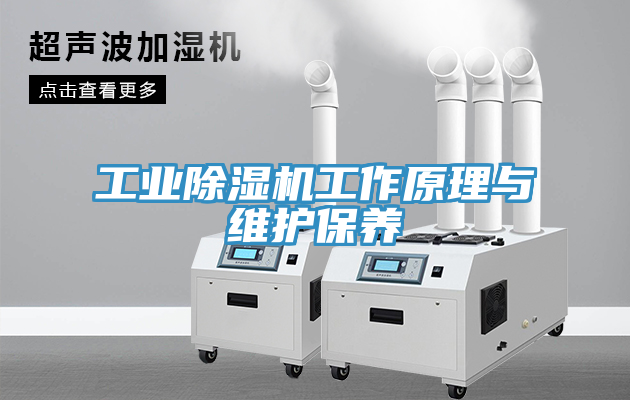 工業草莓污视频在线看工作原理與維護保養