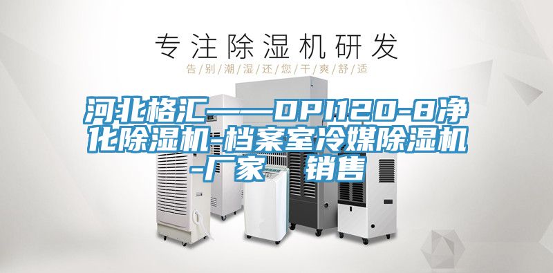 河北格匯——DPI120-8淨化草莓污视频在线看-檔案室冷媒草莓污视频在线看-廠家  銷售