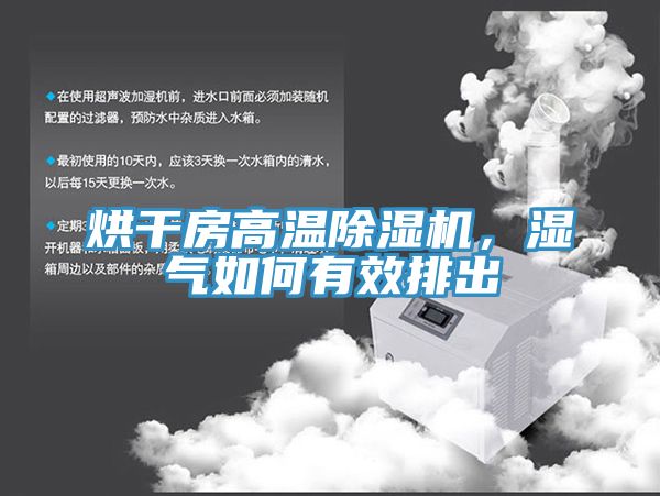 烘幹房高溫草莓污视频在线看，濕氣如何有效排出