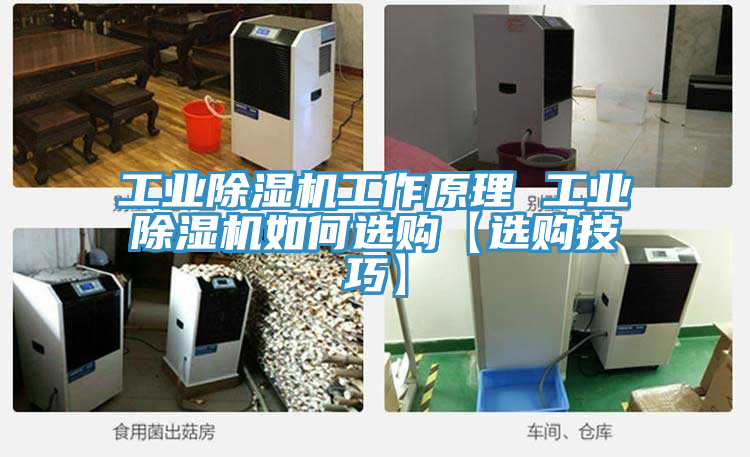 工業草莓污视频在线看工作原理 工業草莓污视频在线看如何選購【選購技巧】