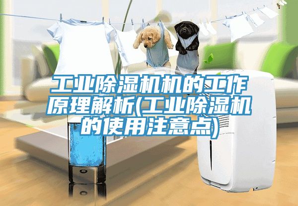 工業草莓污视频在线看機的工作原理解析(工業草莓污视频在线看的使用注意點)