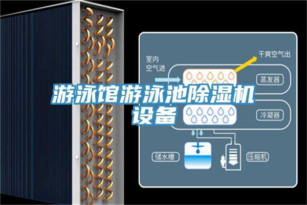 遊泳館遊泳池草莓污视频在线看設備