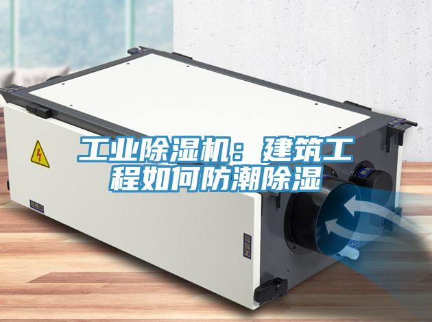 工業草莓污视频在线看：建築工程如何防潮除濕