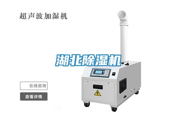 湖北草莓污视频在线看