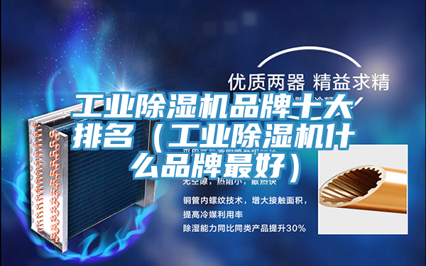 工業草莓污视频在线看品牌十大排名（工業草莓污视频在线看什麽品牌最好）