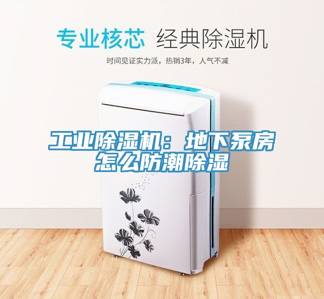 工業草莓污视频在线看：地下泵房怎麽防潮除濕