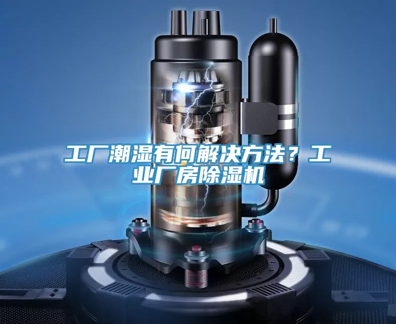 工廠潮濕有何解決方法？工業廠房草莓污视频在线看