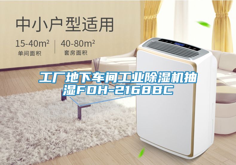 工廠地下車間工業草莓污视频在线看抽濕FDH-2168BC