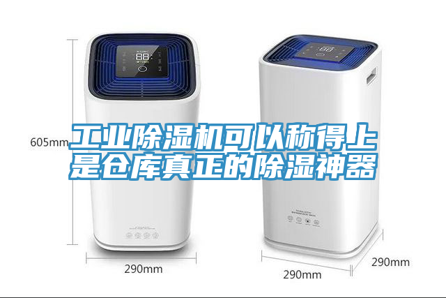 工業草莓污视频在线看可以稱得上是倉庫真正的除濕神器