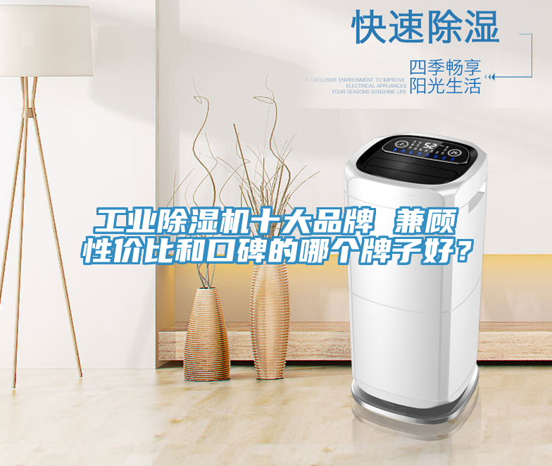工業草莓污视频在线看十大品牌 兼顧性價比和口碑的哪個牌子好？