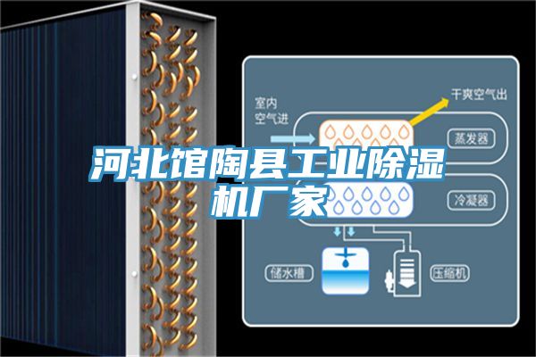 河北館陶縣工業草莓污视频在线看廠家