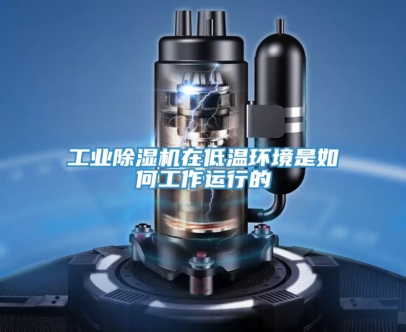 工業草莓污视频在线看在低溫環境是如何工作運行的