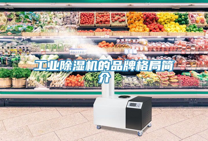工業草莓污视频在线看的品牌格局簡介