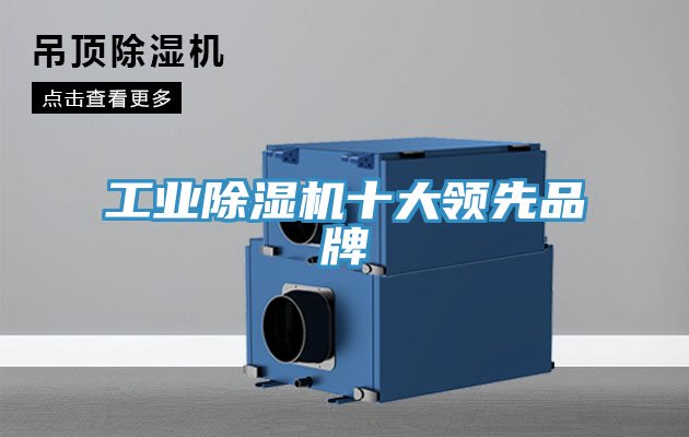 工業草莓污视频在线看十大領先品牌