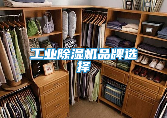 工業草莓污视频在线看品牌選擇