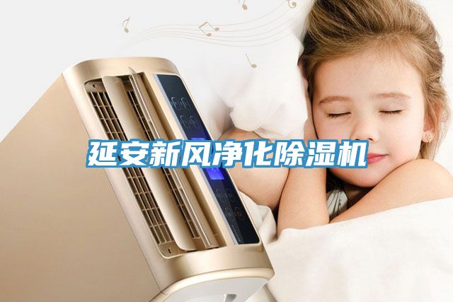 延安新風淨化草莓污视频在线看