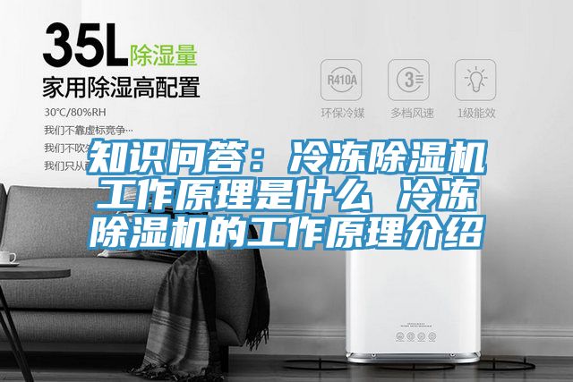知識問答：冷凍草莓污视频在线看工作原理是什麽 冷凍草莓污视频在线看的工作原理介紹
