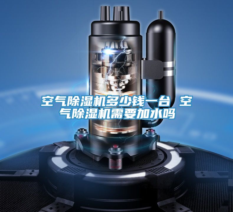 空氣草莓污视频在线看多少錢一台 空氣草莓污视频在线看需要加水嗎
