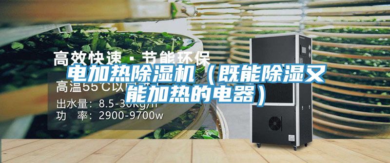 電加熱草莓污视频在线看（既能除濕又能加熱的電器）