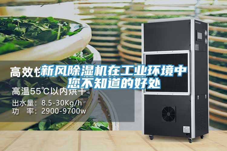 新風草莓污视频在线看在工業環境中您不知道的好處