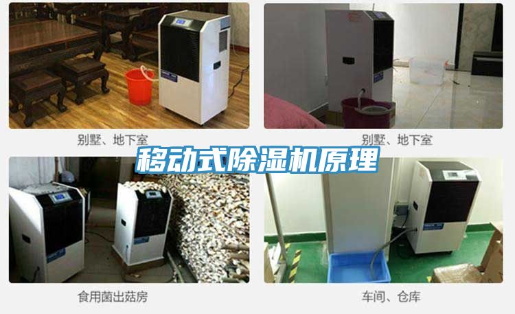 移動式草莓污视频在线看原理