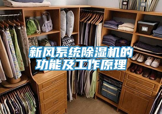 新風係統草莓污视频在线看的功能及工作原理