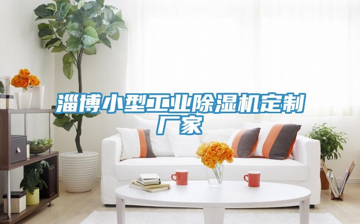 淄博小型工業草莓污视频在线看定製廠家