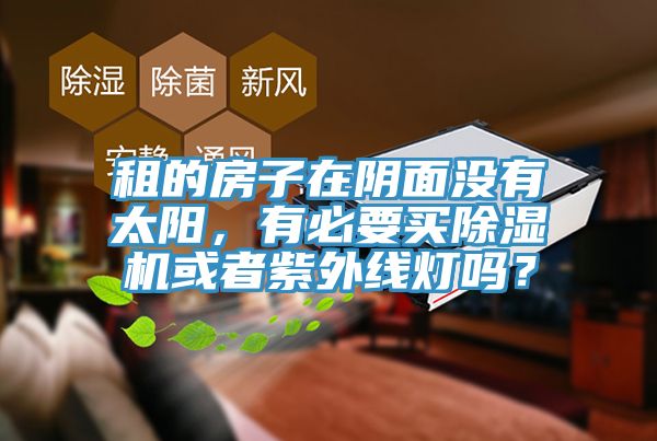 租的房子在陰麵沒有太陽，有必要買草莓污视频在线看或者紫外線燈嗎？