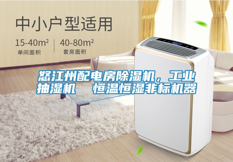 怒江州配電房草莓污视频在线看，工業抽濕機  恒溫恒濕非標機器