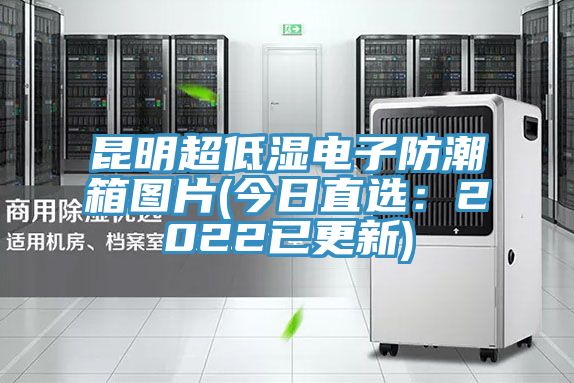 昆明超低濕電子防潮箱圖片(今日直選：2022已更新)