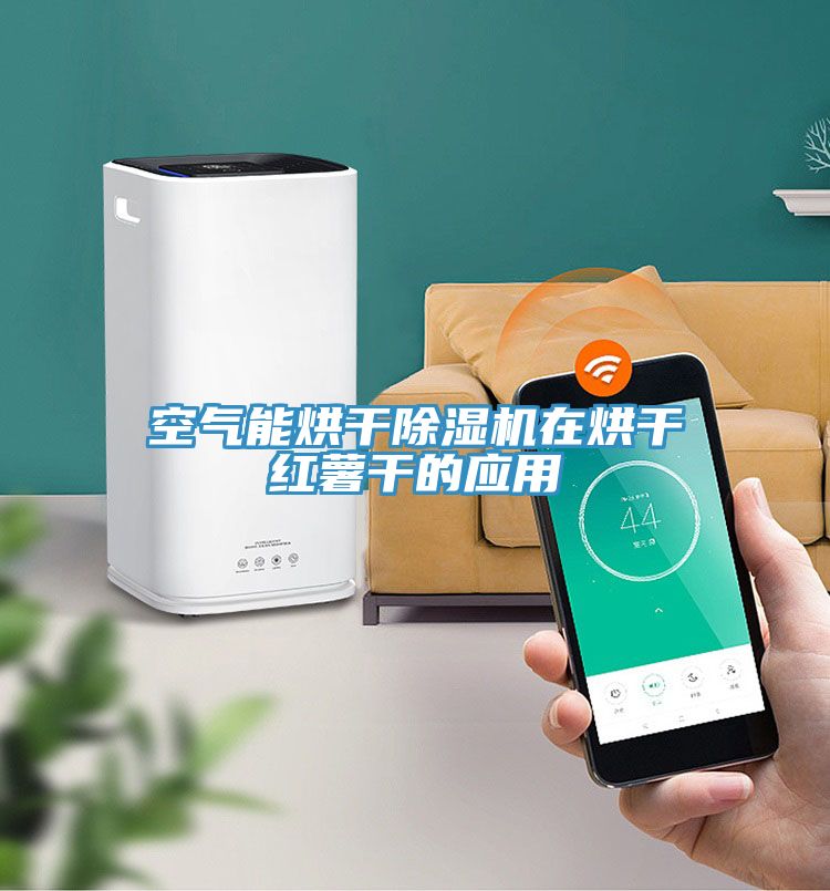 空氣能烘幹草莓污视频在线看在烘幹紅薯幹的應用