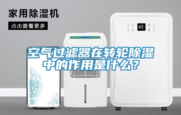 空氣過濾器在轉輪除濕中的作用是什麽？