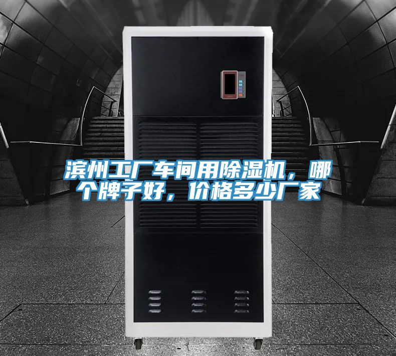 濱州工廠車間用草莓污视频在线看，哪個牌子好，價格多少廠家