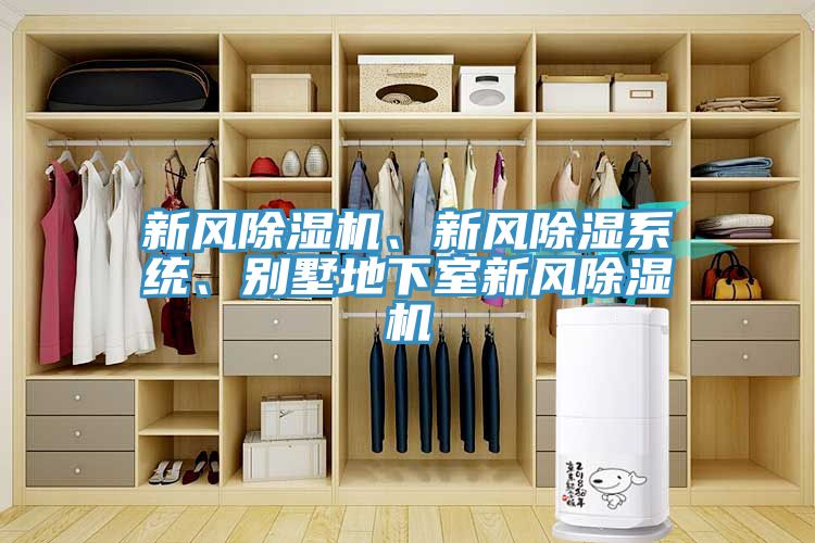 新風草莓污视频在线看、新風除濕係統、別墅地下室新風草莓污视频在线看