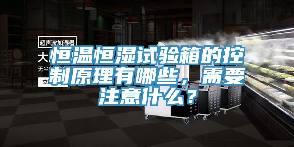 恒溫恒濕試驗箱的控製原理有哪些，需要注意什麽？