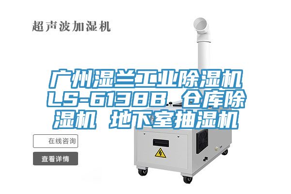 廣州濕蘭工業草莓污视频在线看LS-6138B 倉庫草莓污视频在线看 地下室抽濕機