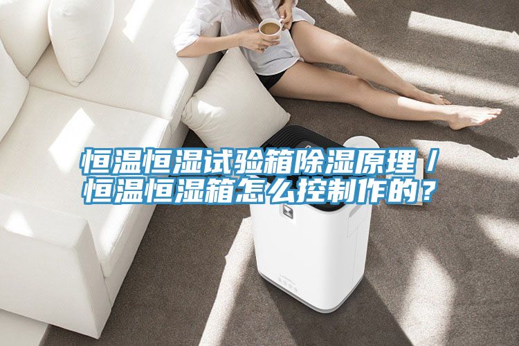 恒溫恒濕試驗箱除濕原理／恒溫恒濕箱怎麽控製作的？