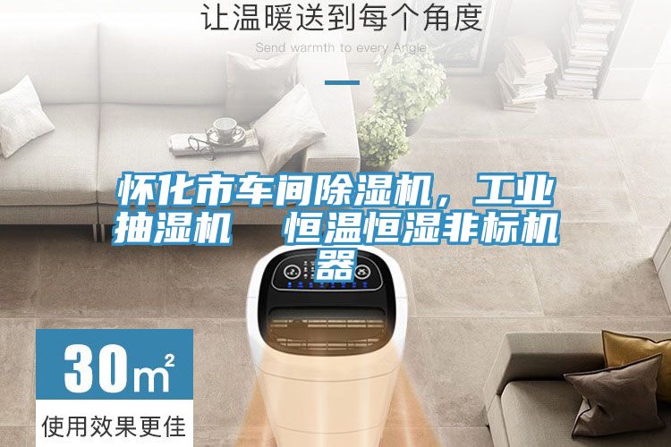 懷化市車間草莓污视频在线看，工業抽濕機  恒溫恒濕非標機器