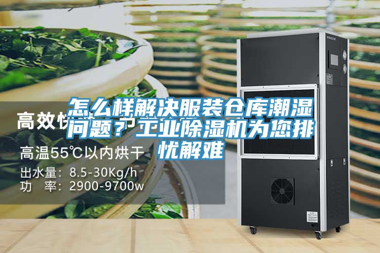 怎麽樣解決服裝倉庫潮濕問題？工業草莓污视频在线看為您排憂解難