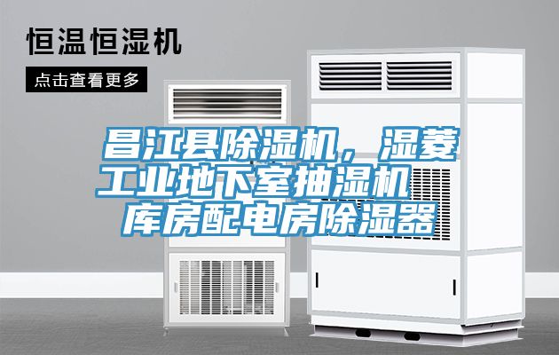 昌江縣草莓污视频在线看，濕菱工業地下室抽濕機  庫房配電房除濕器