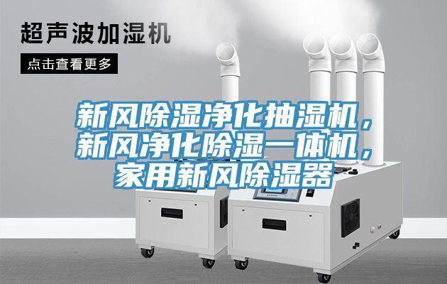 新風除濕淨化抽濕機，新風淨化除濕一體機，家用新風除濕器
