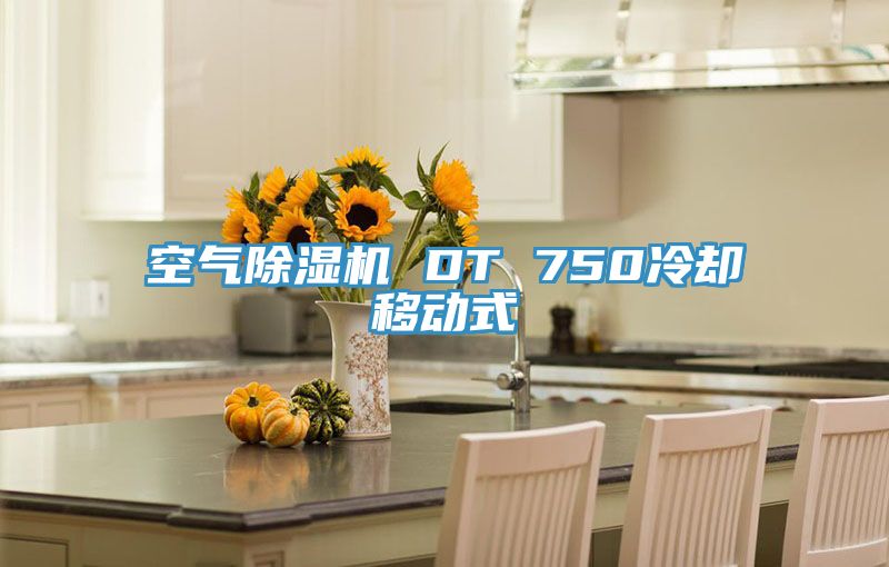 空氣草莓污视频在线看 DT 750冷卻移動式