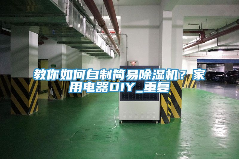 教你如何自製簡易草莓污视频在线看？家用電器DIY_重複
